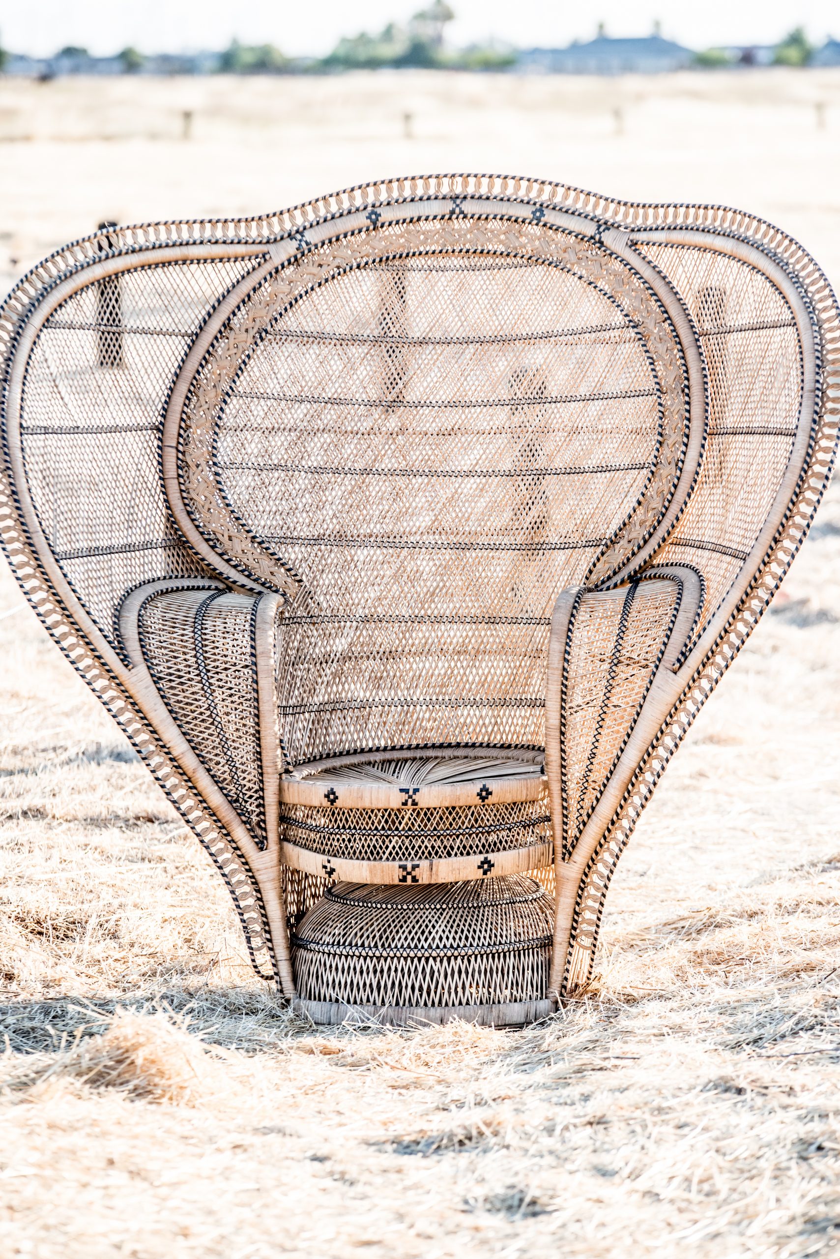 2020-07WhiteElephantCo31 2020-07WhiteElephantCo31