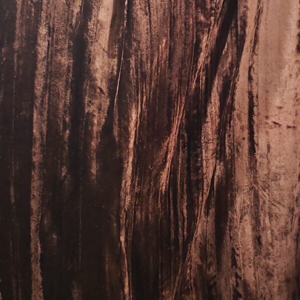 BROWN-VELVET-1.jpg