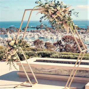 6 Ft Hexagon Backdrop in Champagne color