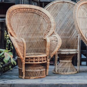 The Rayden Peacock Chair