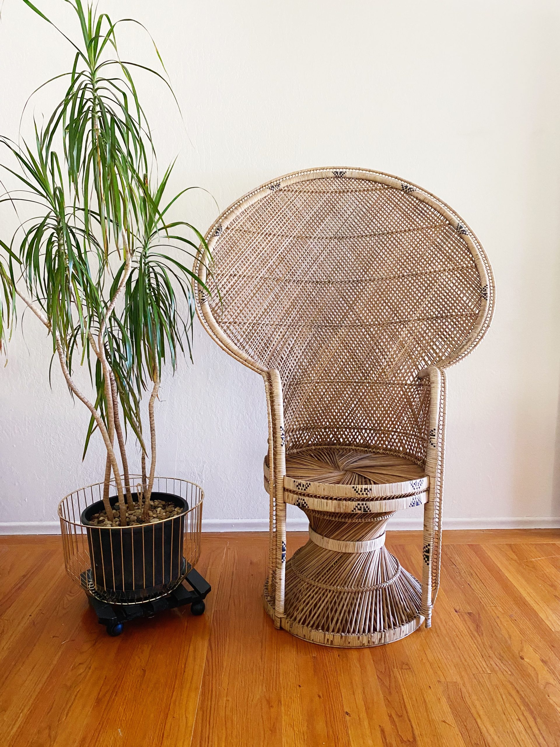 Processed with VSCO with s3 preset