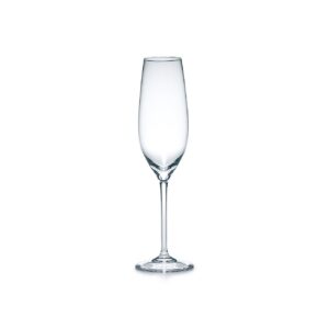 Champagne Flute Glass