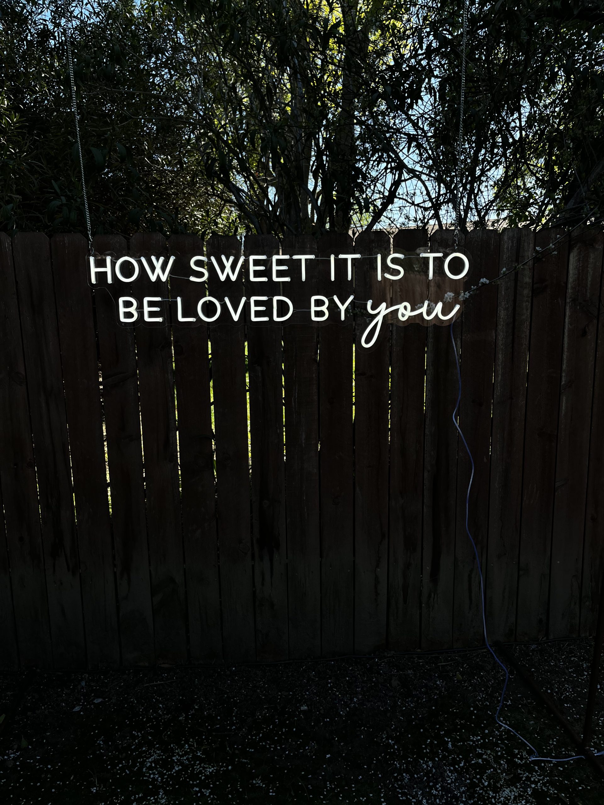 8CC3CD00-82B6-4BDA-8472-FAA1AEB23049