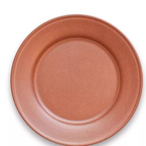 Terra Cotta Brown Plate