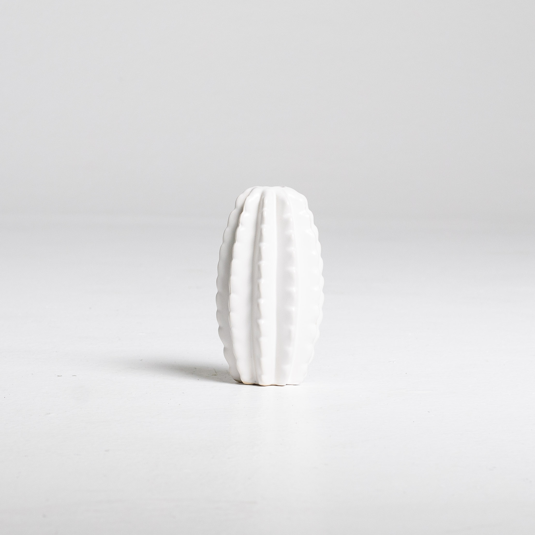 WhiteCactusVase