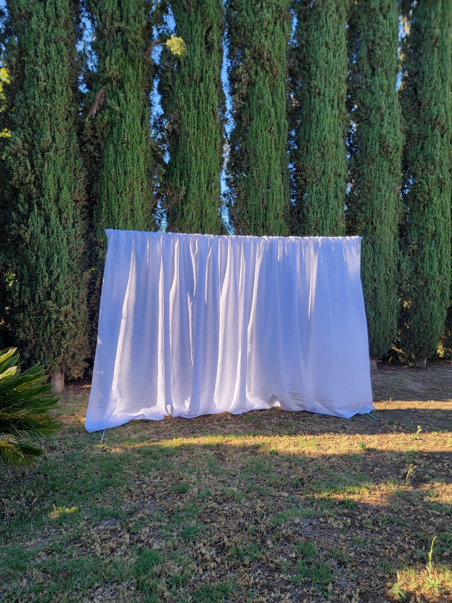 20220709_182602 20220709_182602