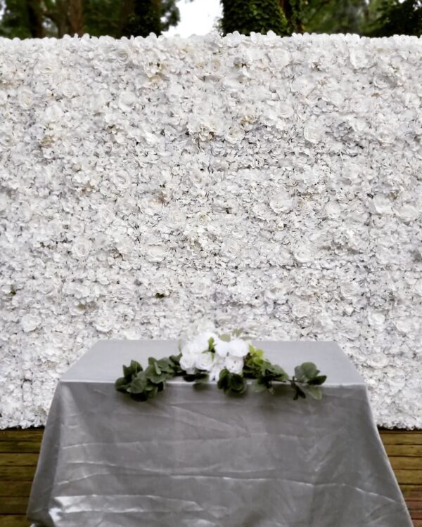 292281305_123087110430876_4812938749690610538_n