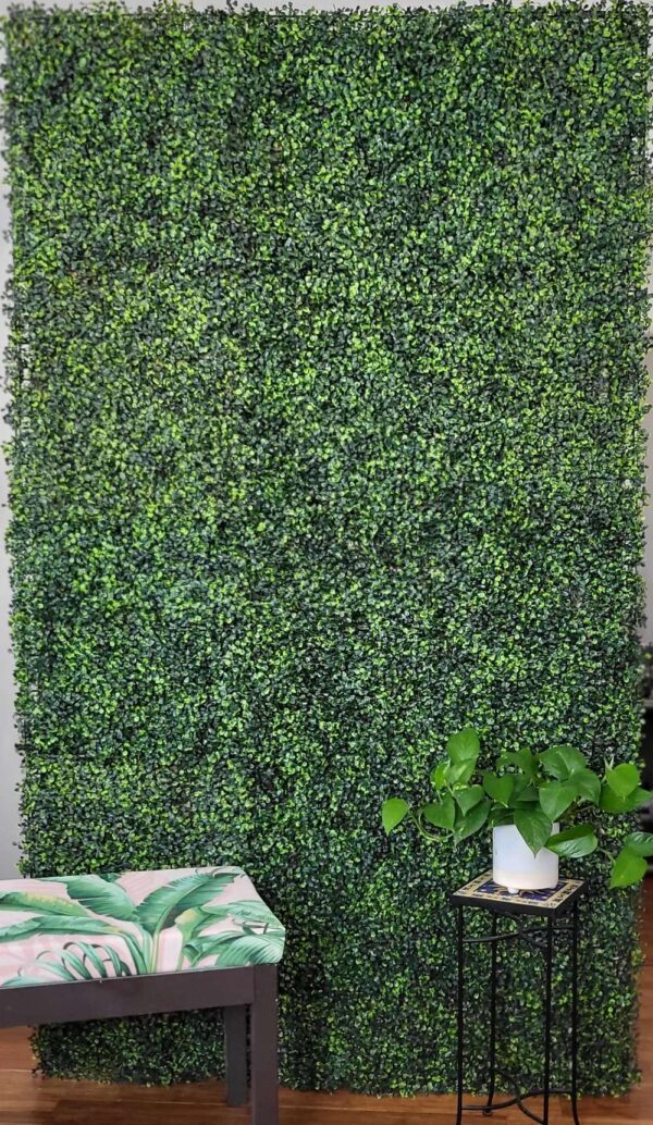 c1b6ca34-e41f-4eae-959f-9ad7bcf43252