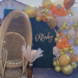 Vintage Egg-Shaped Peacock Chair