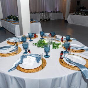 Dusty Blue Silk Napkins