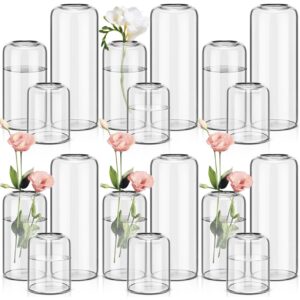 Clear Glass Vases